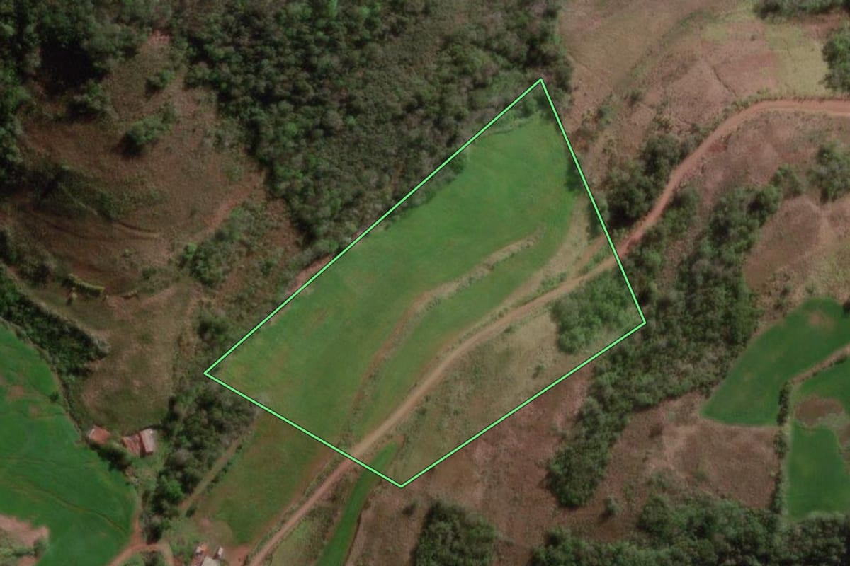 Imagem de satélite do imóvel rural em Braga (RS), com o contorno declarado no CAR desenhado por cima.