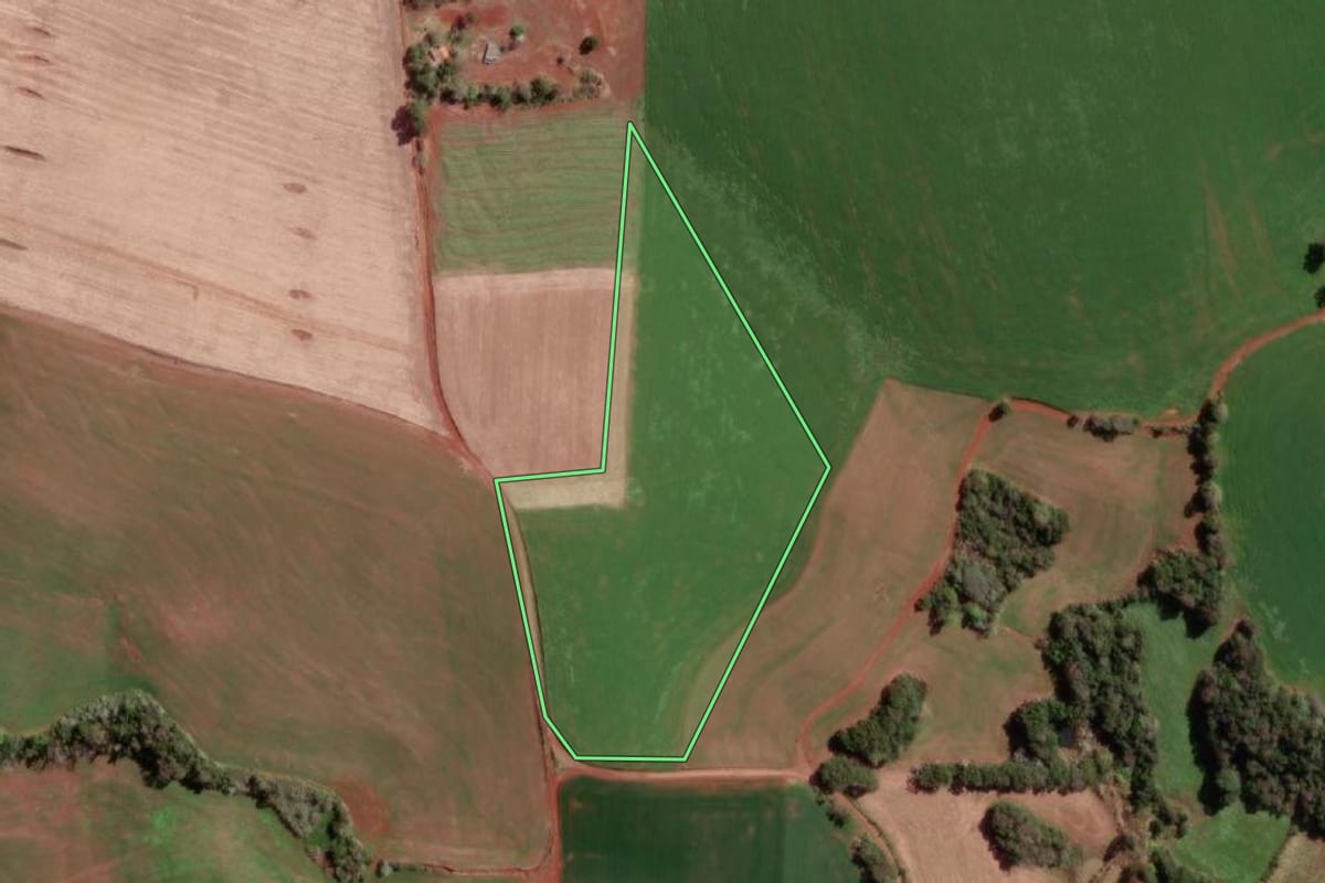 Imagem de satélite do imóvel rural em Braga (RS), com o contorno declarado no CAR desenhado por cima.