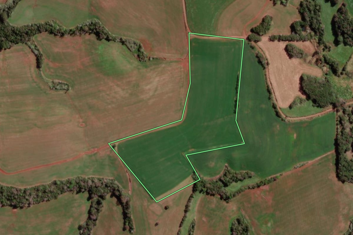 Imagem de satélite do imóvel rural em Braga (RS), com o contorno declarado no CAR desenhado por cima.