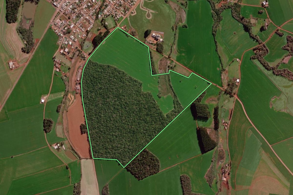 Imagem de satélite do imóvel rural em Braga (RS), com o contorno declarado no CAR desenhado por cima.