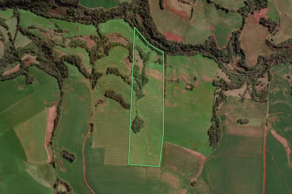 Imagem de satélite do imóvel rural em Braga (RS), com o contorno declarado no CAR desenhado por cima.