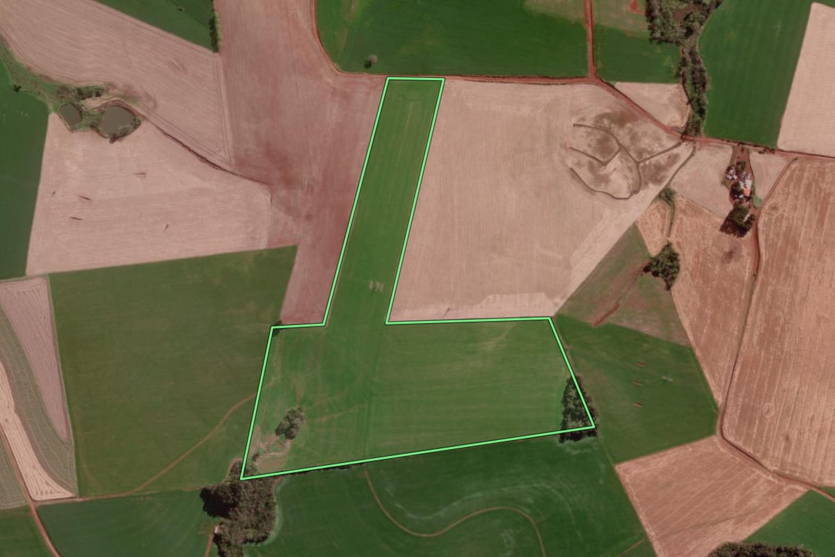 Imagem de satélite do imóvel rural em Braga (RS), com o contorno declarado no CAR desenhado por cima.