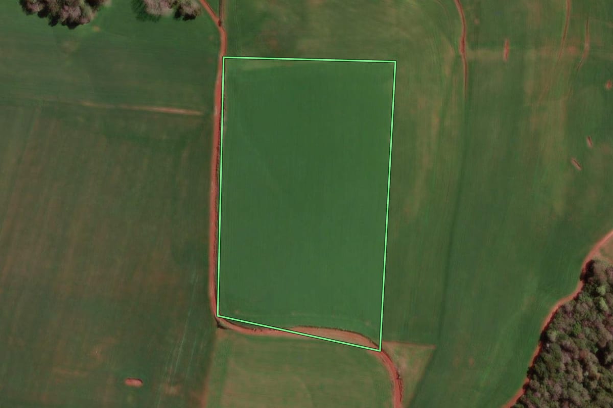 Imagem de satélite do imóvel rural em Braga (RS), com o contorno declarado no CAR desenhado por cima.