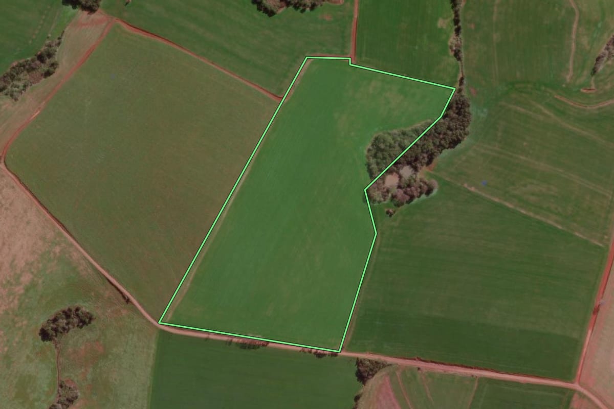 Imagem de satélite do imóvel rural em Braga (RS), com o contorno declarado no CAR desenhado por cima.