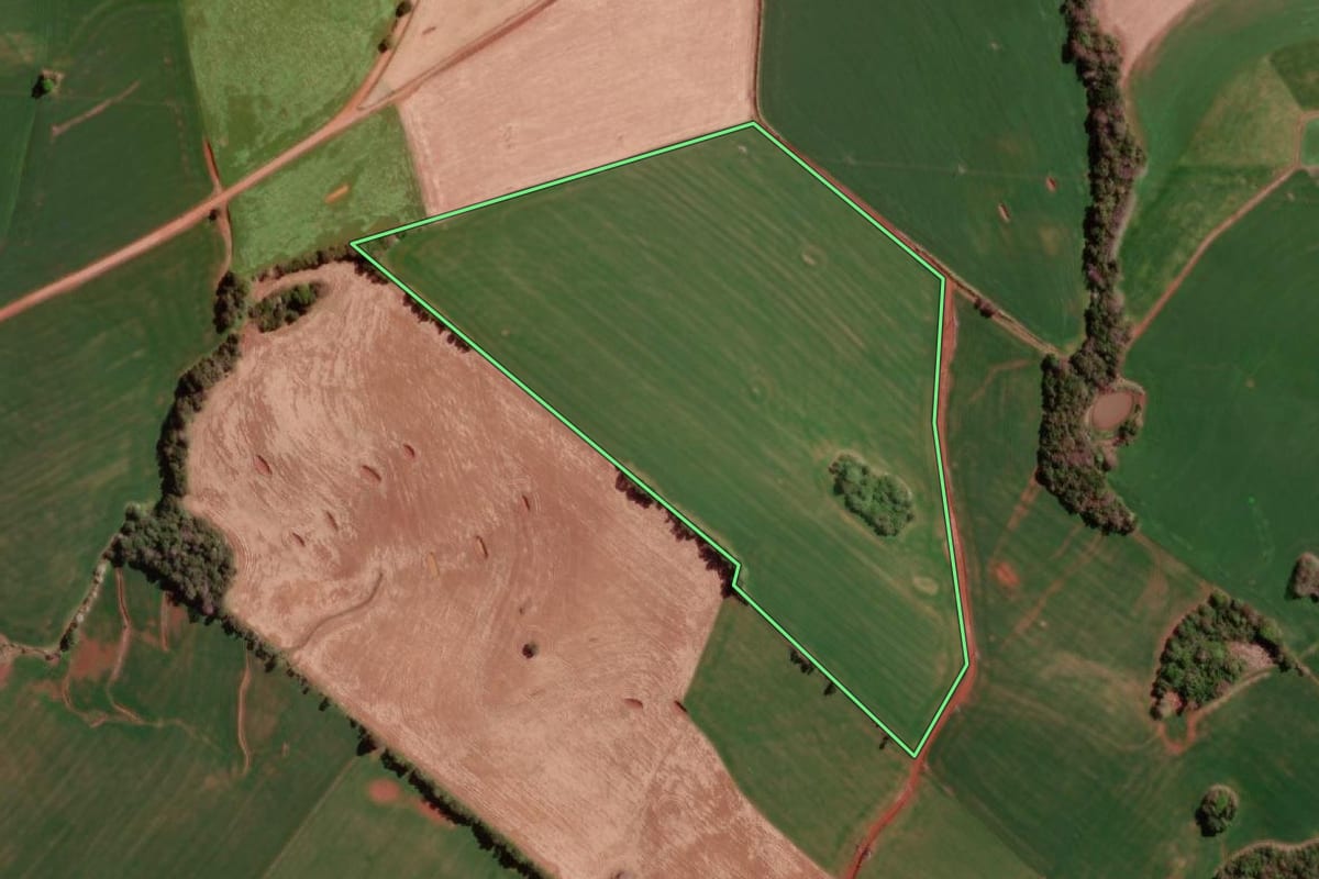 Imagem de satélite do imóvel rural em Braga (RS), com o contorno declarado no CAR desenhado por cima.