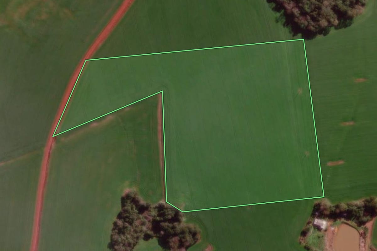 Imagem de satélite do imóvel rural em Braga (RS), com o contorno declarado no CAR desenhado por cima.