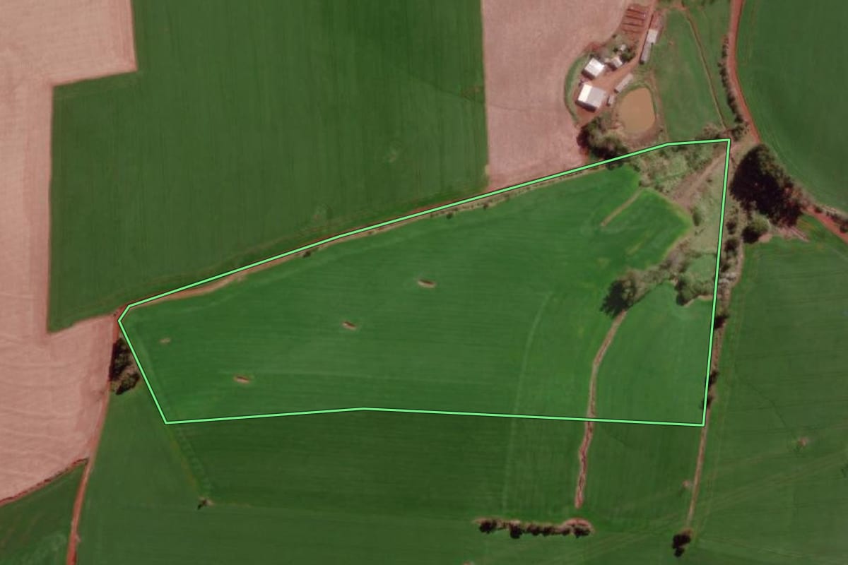 Imagem de satélite do imóvel rural em Braga (RS), com o contorno declarado no CAR desenhado por cima.