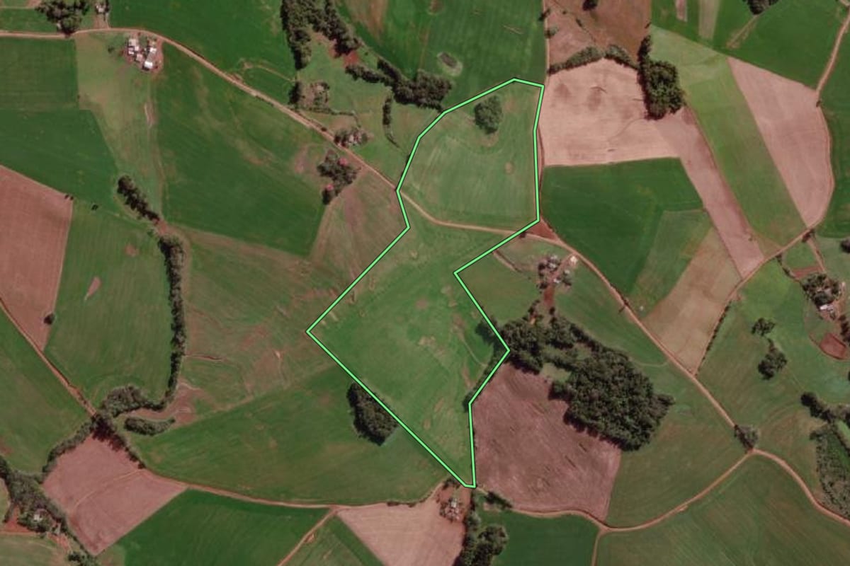 Imagem de satélite do imóvel rural em Braga (RS), com o contorno declarado no CAR desenhado por cima.