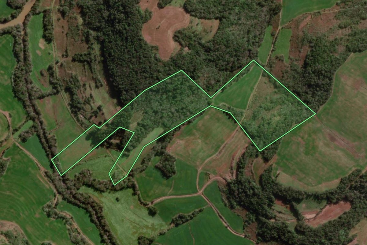 Imagem de satélite do imóvel rural em Braga (RS), com o contorno declarado no CAR desenhado por cima.