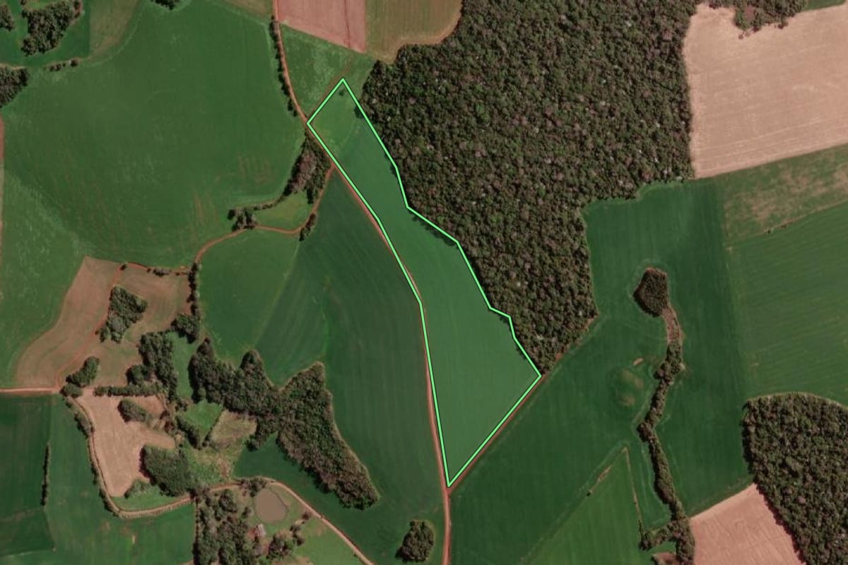 Imagem de satélite do imóvel rural em Braga (RS), com o contorno declarado no CAR desenhado por cima.