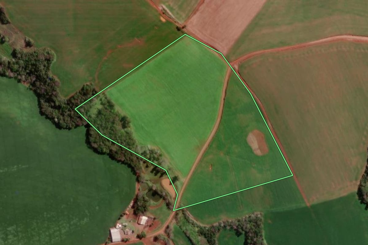 Imagem de satélite do imóvel rural em Braga (RS), com o contorno declarado no CAR desenhado por cima.