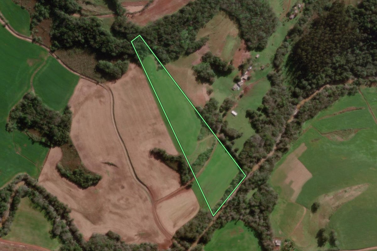 Imagem de satélite do imóvel rural em Braga (RS), com o contorno declarado no CAR desenhado por cima.