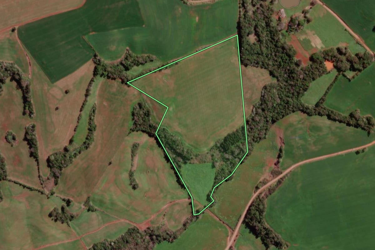 Imagem de satélite do imóvel rural em Braga (RS), com o contorno declarado no CAR desenhado por cima.
