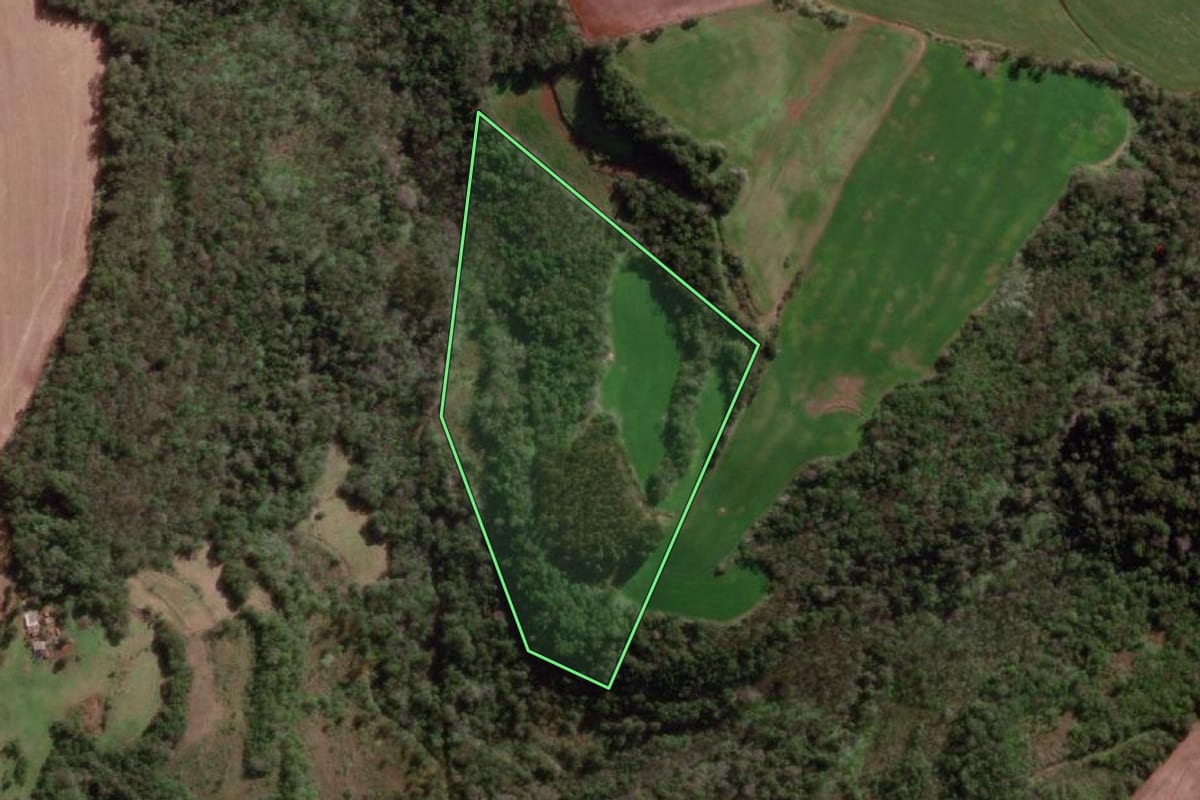 Imagem de satélite do imóvel rural em Braga (RS), com o contorno declarado no CAR desenhado por cima.
