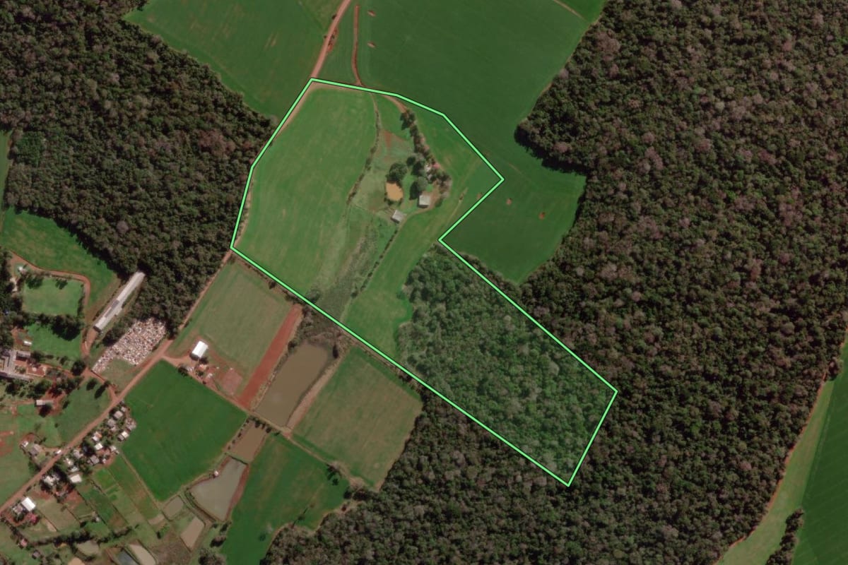 Imagem de satélite do imóvel rural em Braga (RS), com o contorno declarado no CAR desenhado por cima.