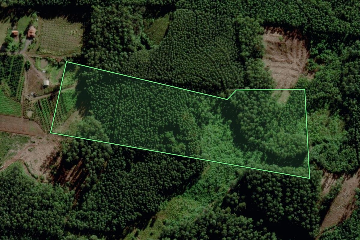 Imagem de satélite do imóvel rural em Brochier (RS), com o contorno declarado no CAR desenhado por cima.