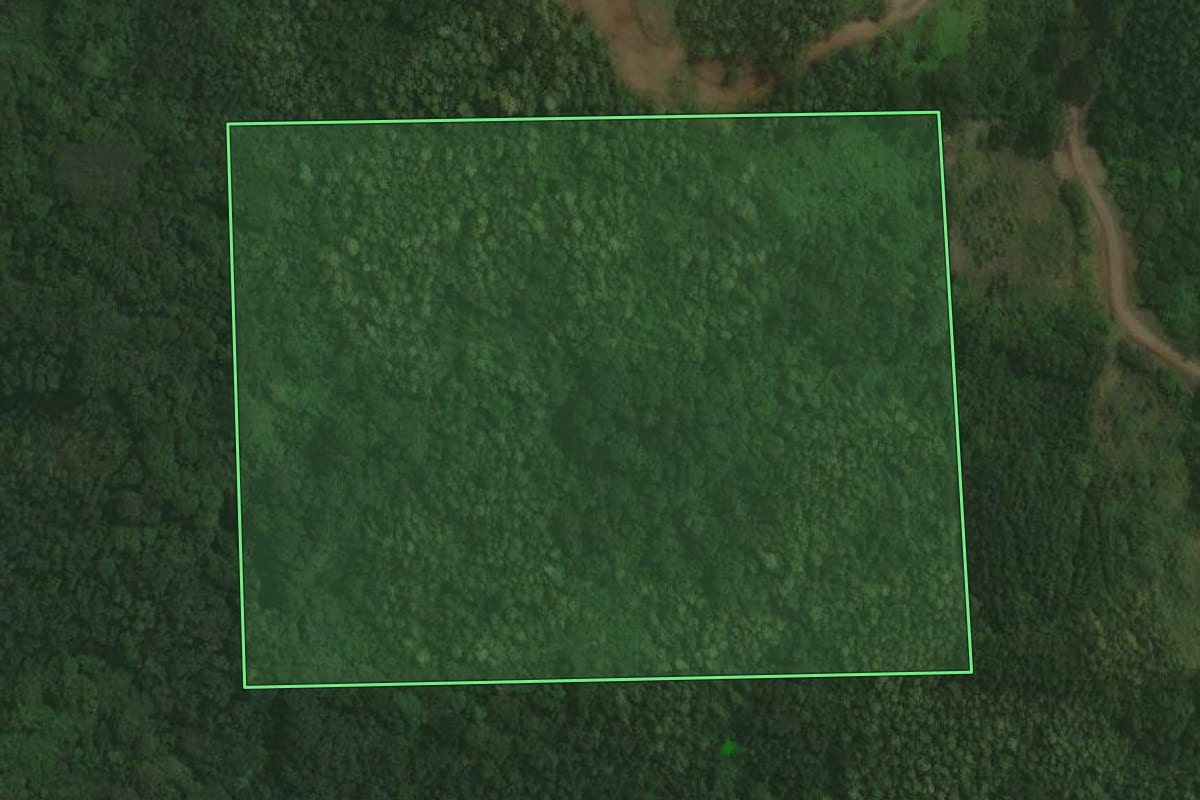 Imagem de satélite do imóvel rural em Brochier (RS), com o contorno declarado no CAR desenhado por cima.