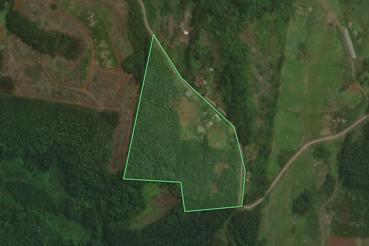 Imagem de satélite do imóvel rural em Brochier (RS), com o contorno declarado no CAR desenhado por cima.