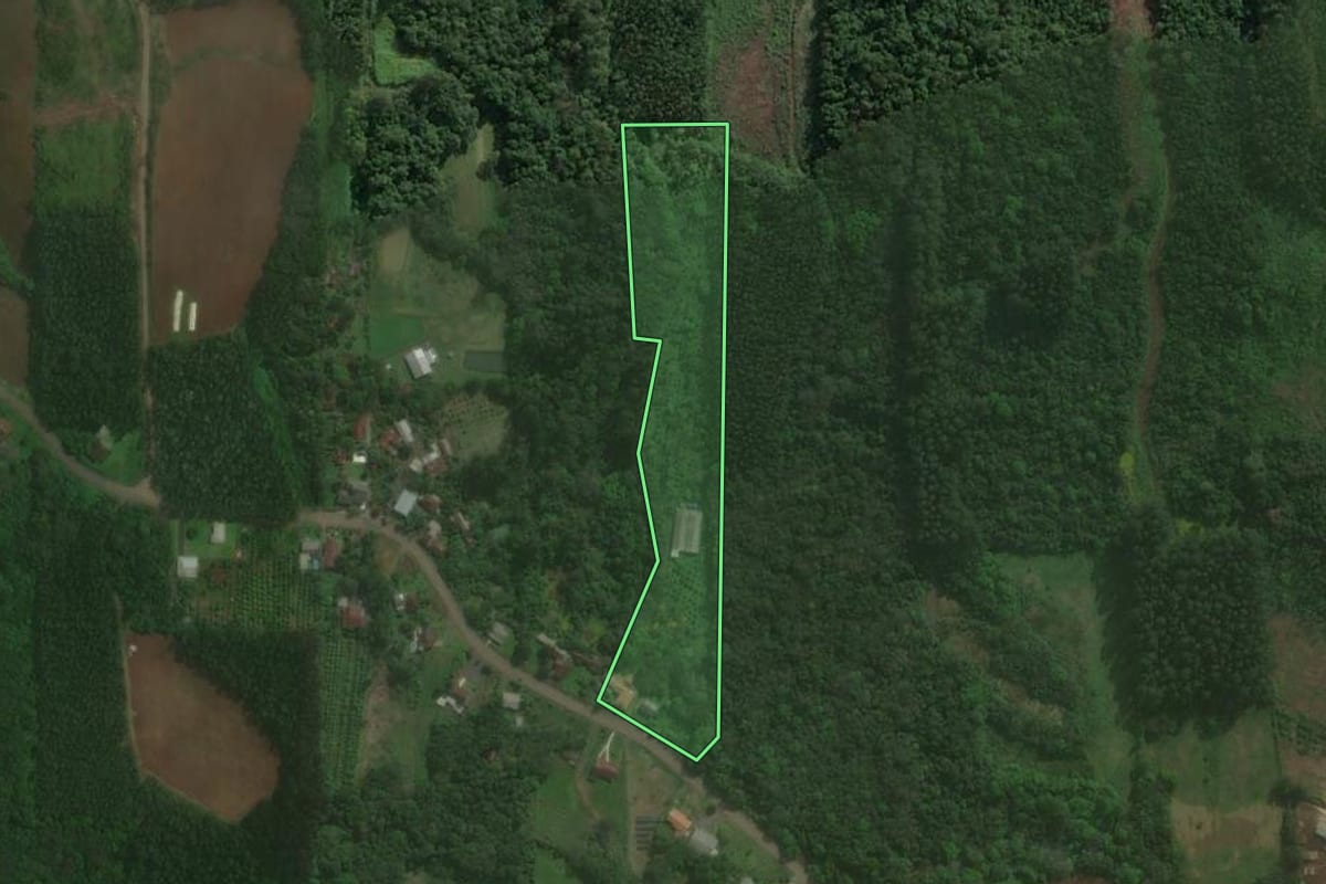 Imagem de satélite do imóvel rural em Brochier (RS), com o contorno declarado no CAR desenhado por cima.