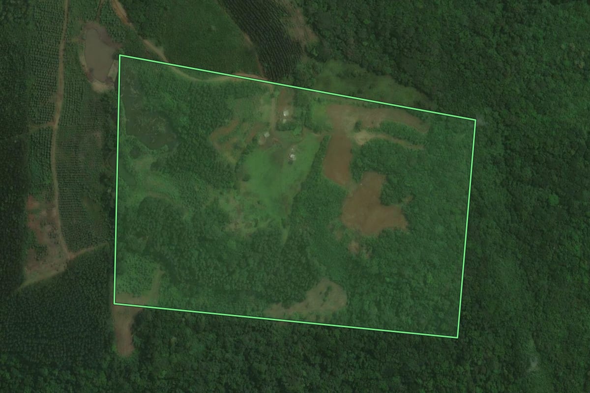 Imagem de satélite do imóvel rural em Brochier (RS), com o contorno declarado no CAR desenhado por cima.