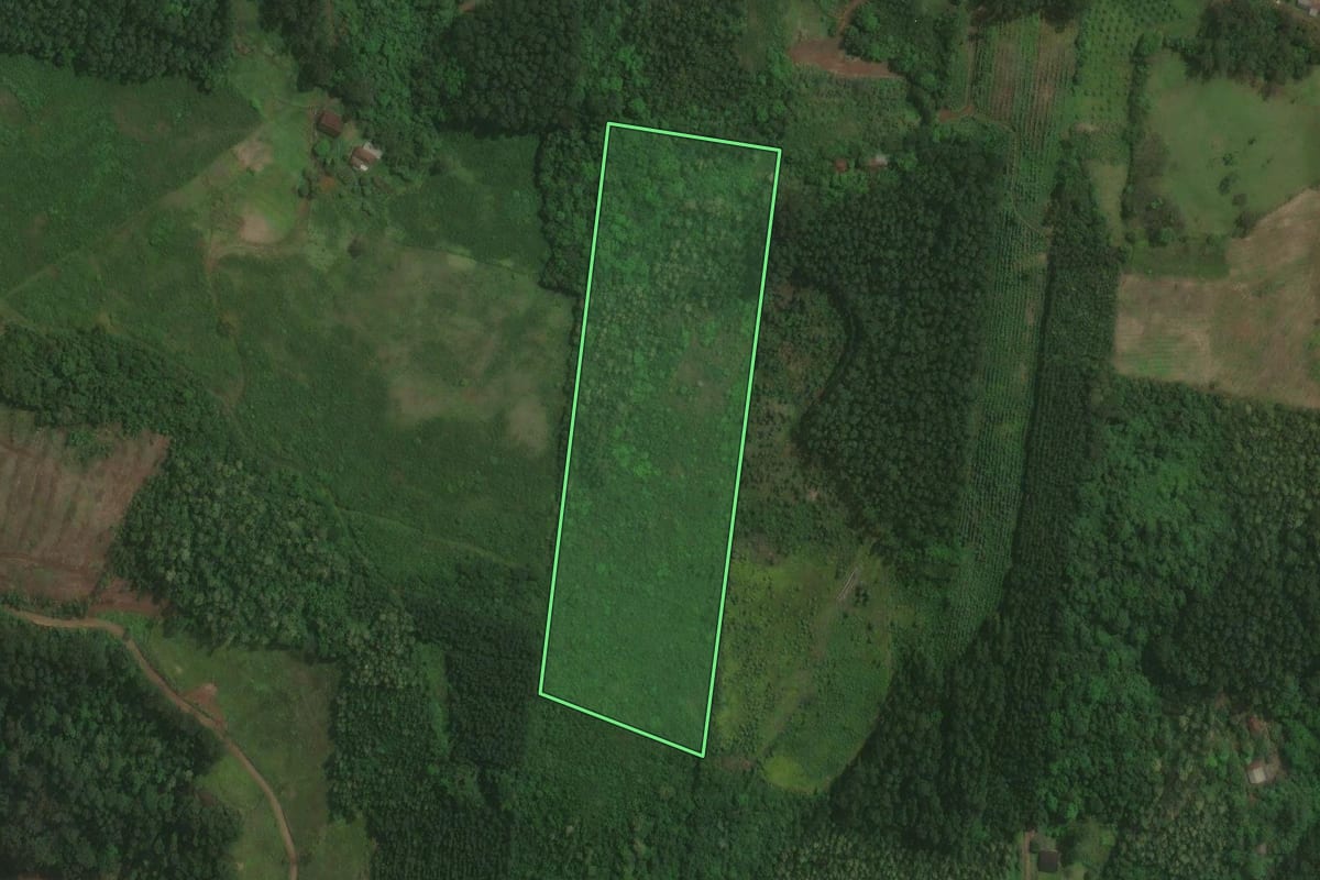 Imagem de satélite do imóvel rural em Brochier (RS), com o contorno declarado no CAR desenhado por cima.