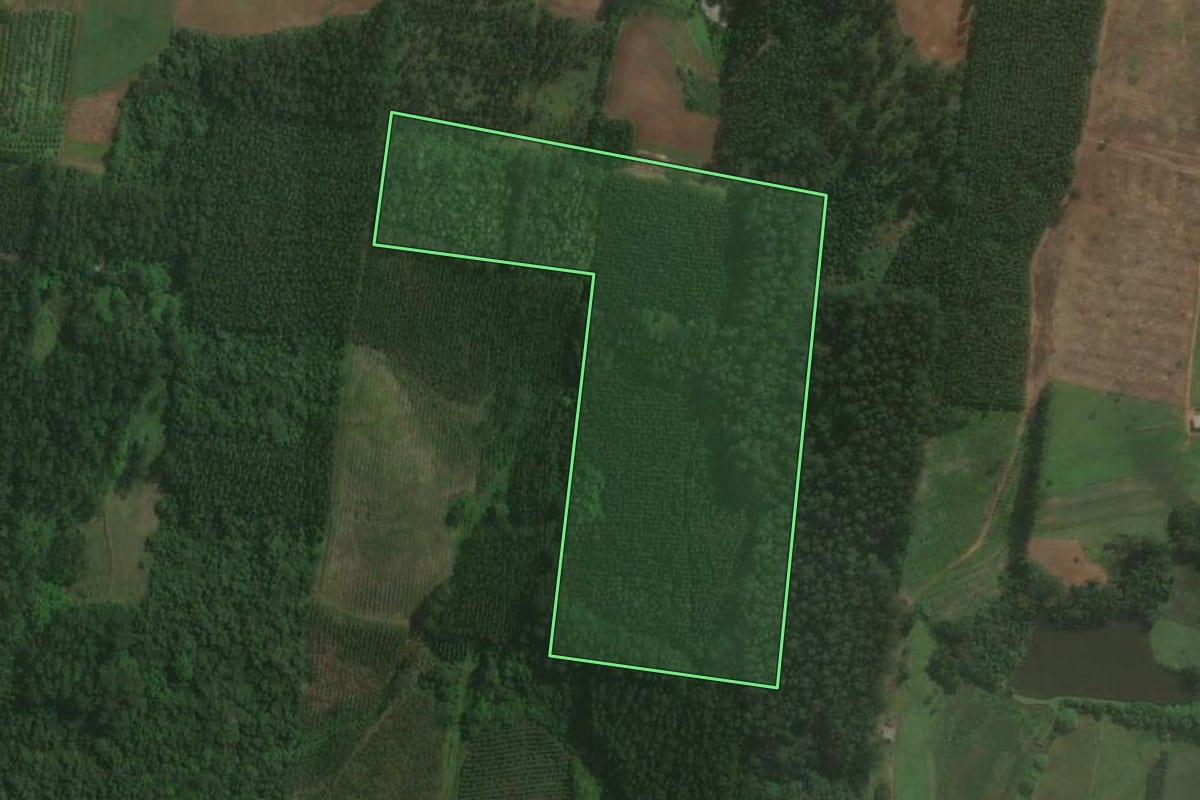Imagem de satélite do imóvel rural em Brochier (RS), com o contorno declarado no CAR desenhado por cima.