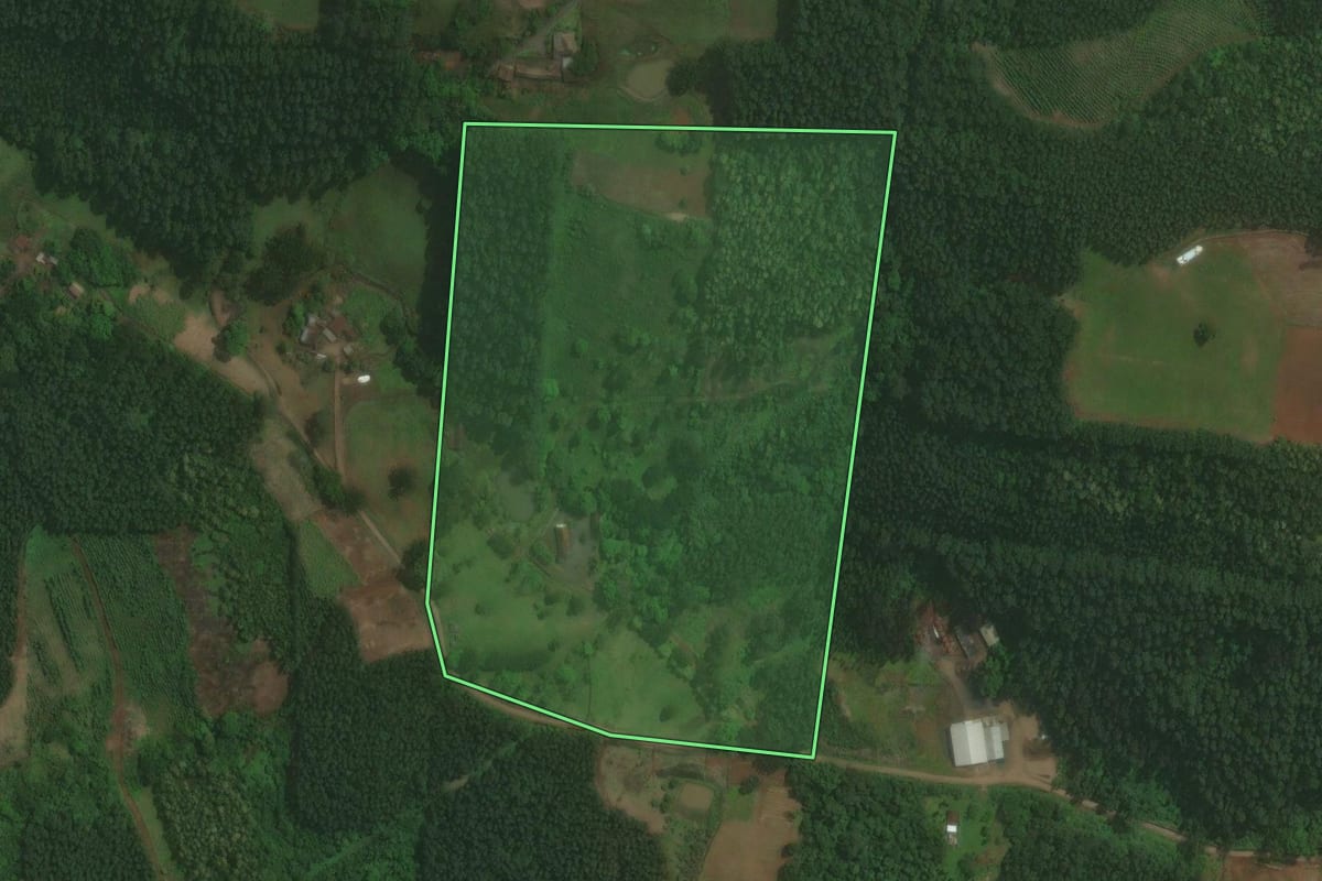 Imagem de satélite do imóvel rural em Brochier (RS), com o contorno declarado no CAR desenhado por cima.