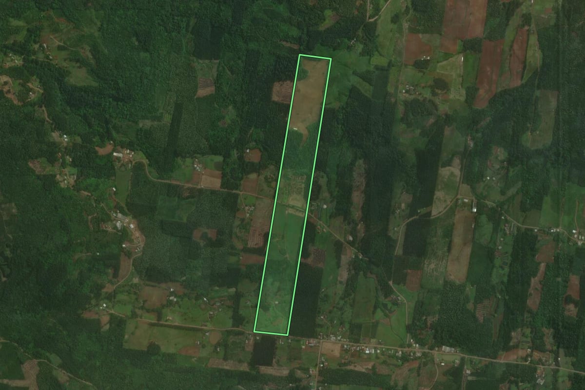 Imagem de satélite do imóvel rural em Brochier (RS), com o contorno declarado no CAR desenhado por cima.