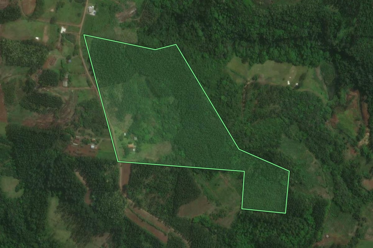 Imagem de satélite do imóvel rural em Brochier (RS), com o contorno declarado no CAR desenhado por cima.