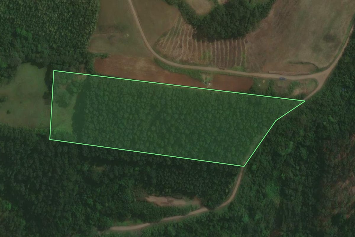 Imagem de satélite do imóvel rural em Brochier (RS), com o contorno declarado no CAR desenhado por cima.