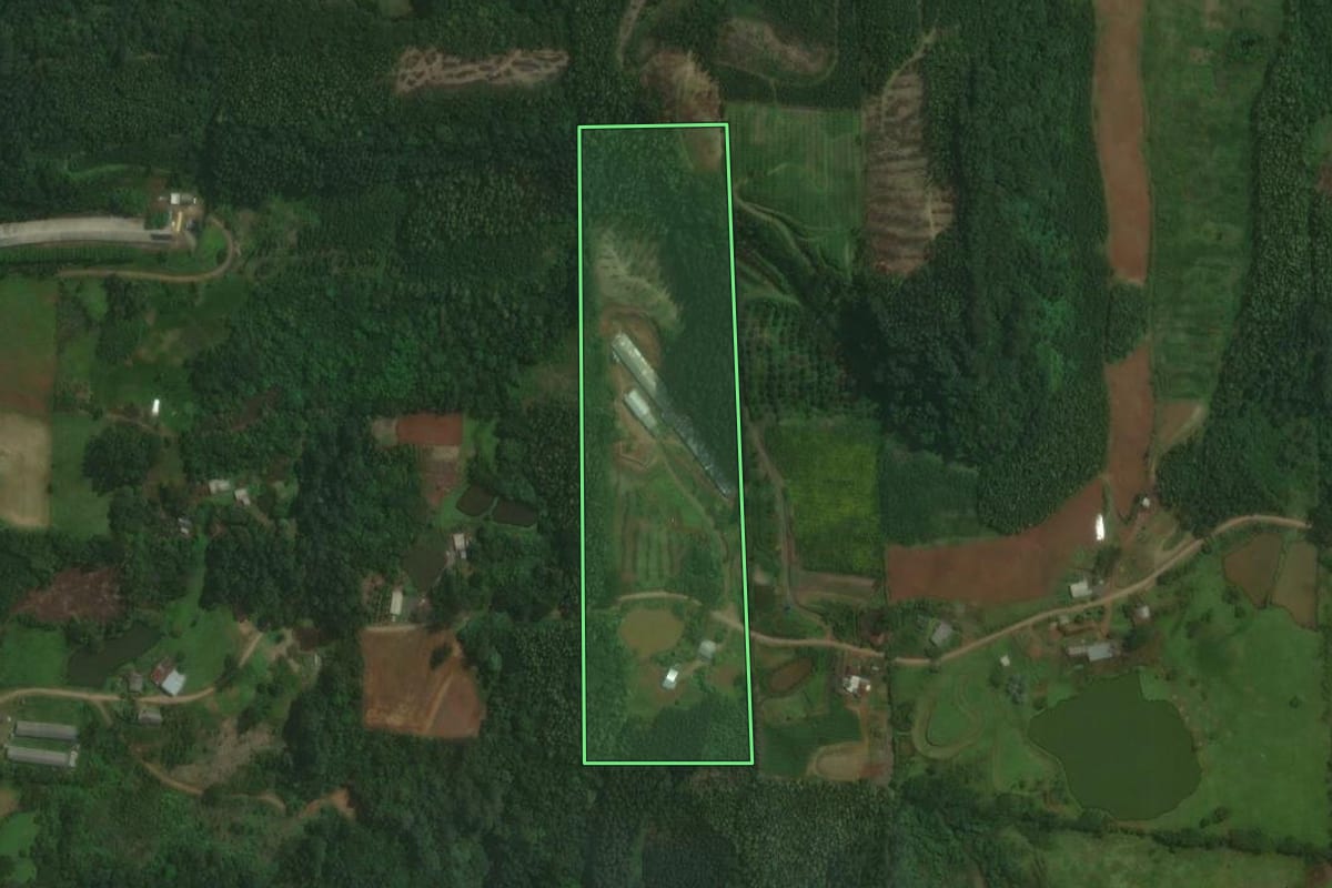 Imagem de satélite do imóvel rural em Brochier (RS), com o contorno declarado no CAR desenhado por cima.