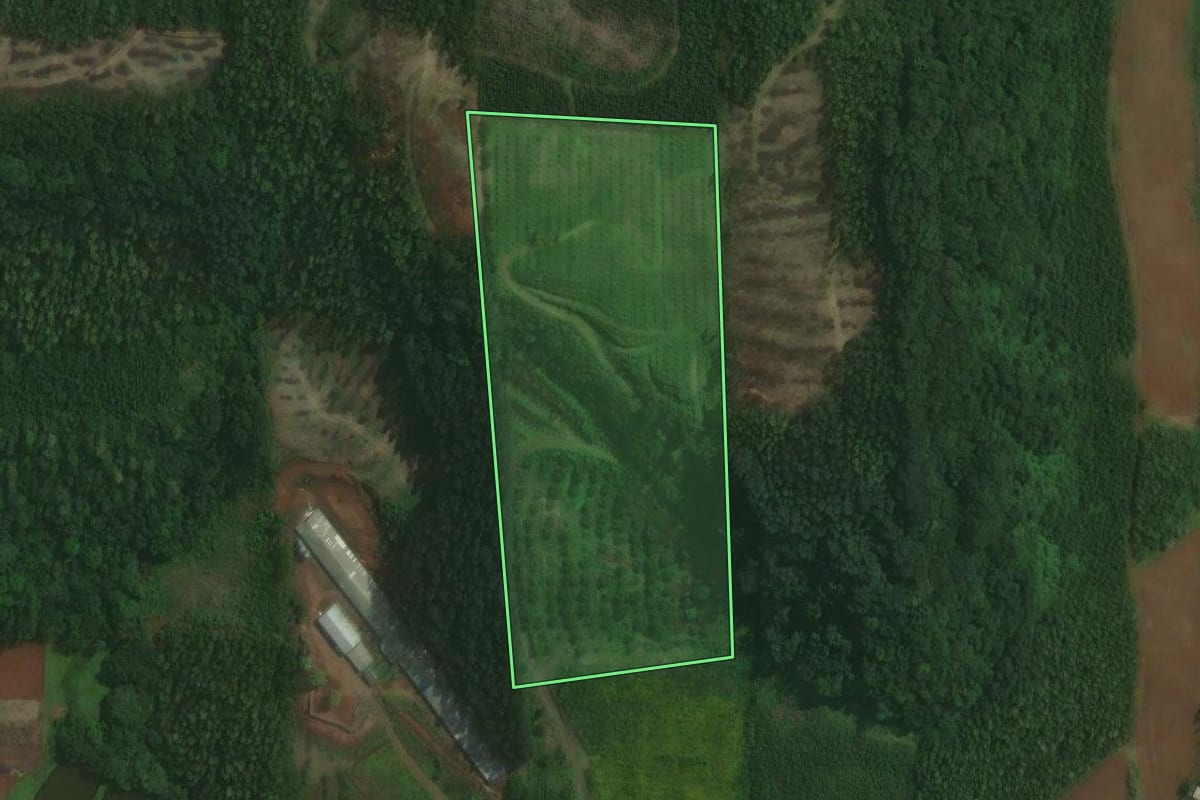 Imagem de satélite do imóvel rural em Brochier (RS), com o contorno declarado no CAR desenhado por cima.