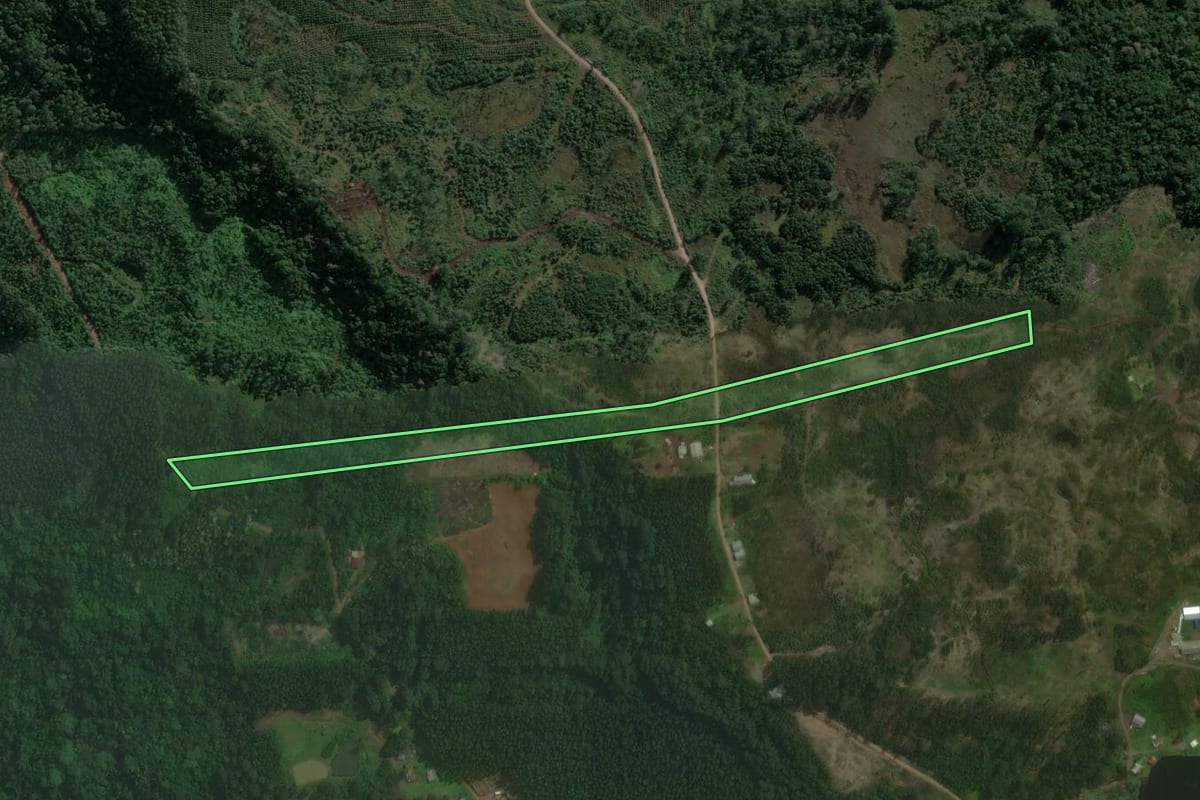 Imagem de satélite do imóvel rural em Brochier (RS), com o contorno declarado no CAR desenhado por cima.