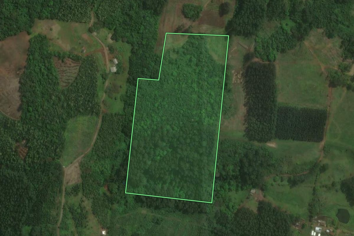 Imagem de satélite do imóvel rural em Brochier (RS), com o contorno declarado no CAR desenhado por cima.