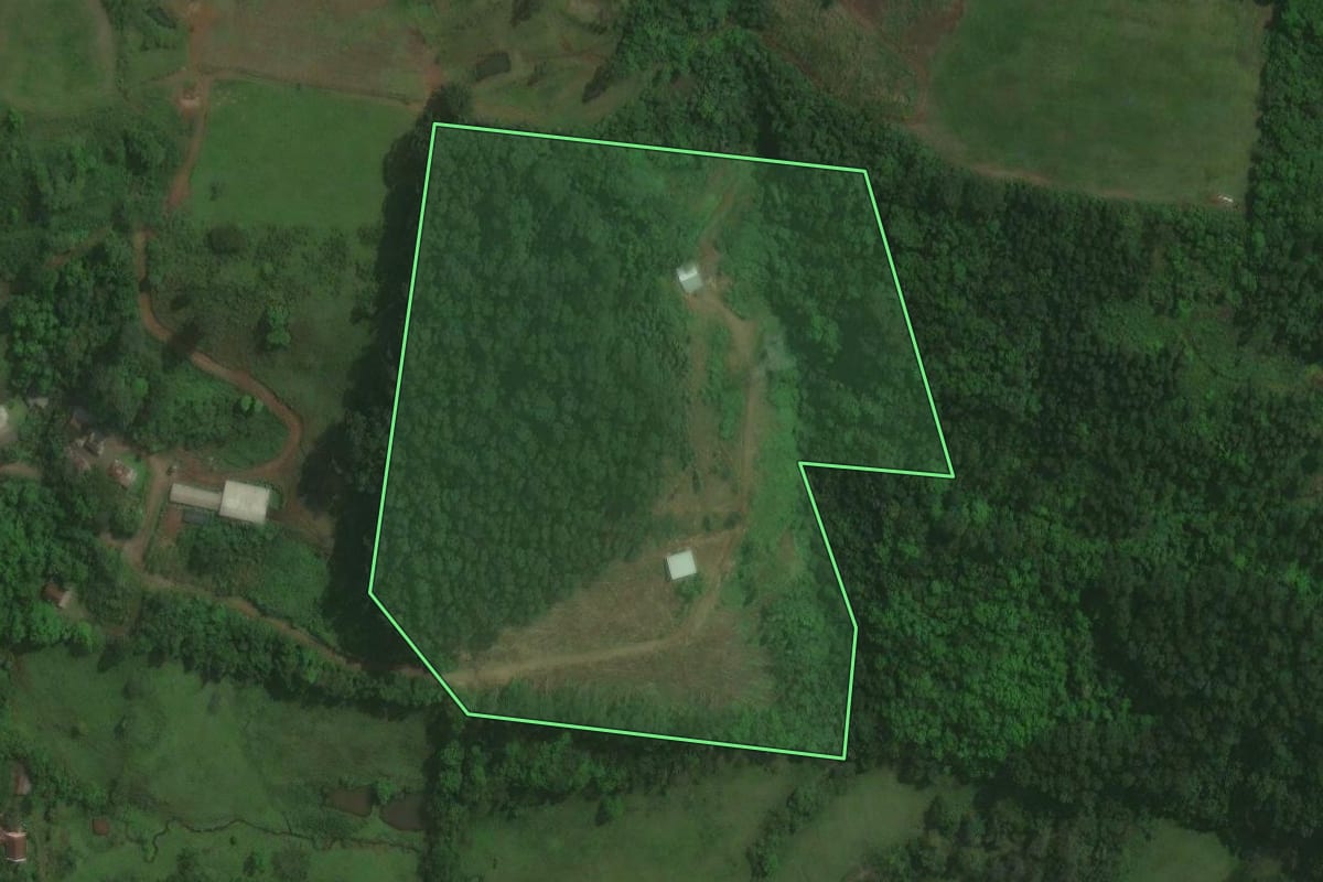Imagem de satélite do imóvel rural em Brochier (RS), com o contorno declarado no CAR desenhado por cima.