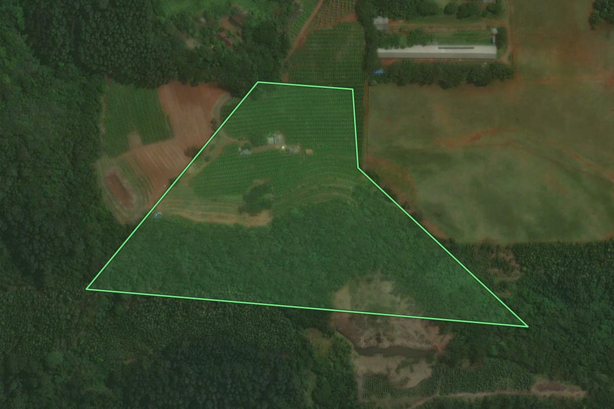Imagem de satélite do imóvel rural em Brochier (RS), com o contorno declarado no CAR desenhado por cima.