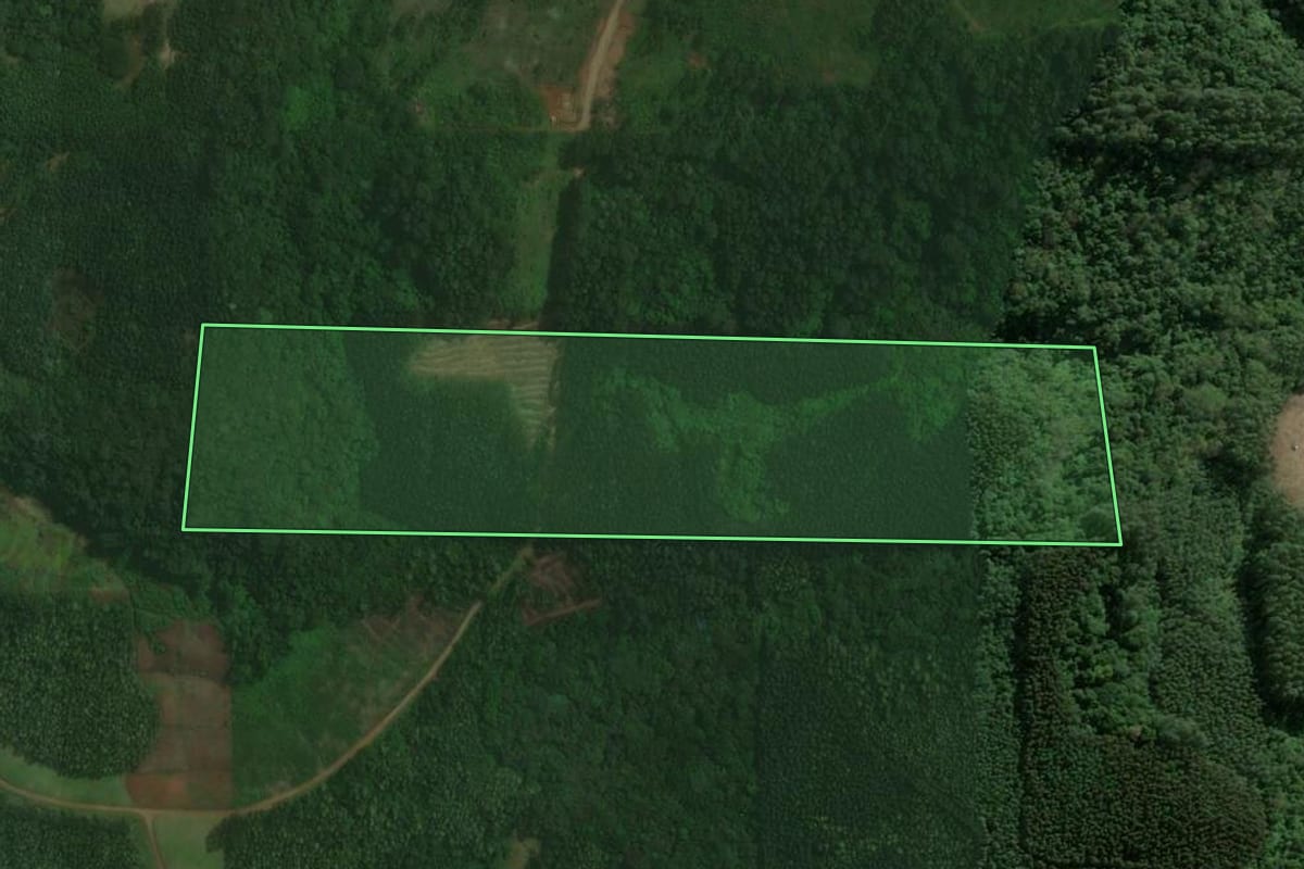 Imagem de satélite do imóvel rural em Brochier (RS), com o contorno declarado no CAR desenhado por cima.