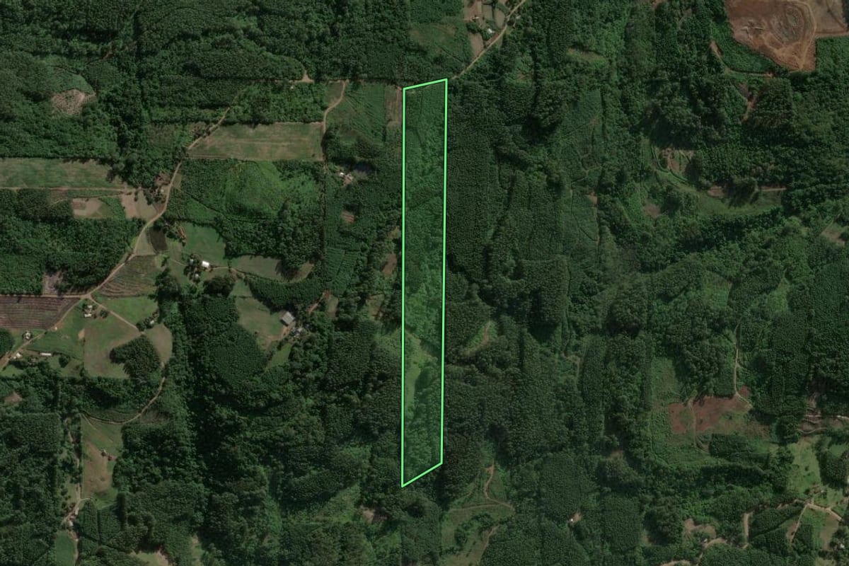 Imagem de satélite do imóvel rural em Brochier (RS), com o contorno declarado no CAR desenhado por cima.