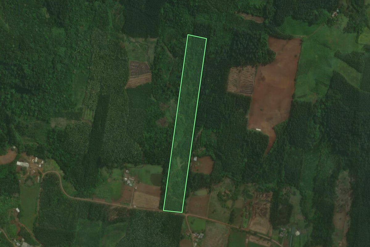 Imagem de satélite do imóvel rural em Brochier (RS), com o contorno declarado no CAR desenhado por cima.