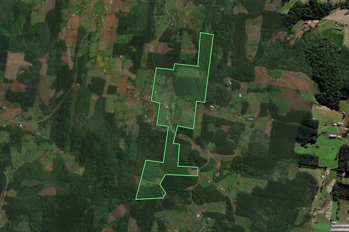 Imagem de satélite do imóvel rural em Brochier (RS), com o contorno declarado no CAR desenhado por cima.