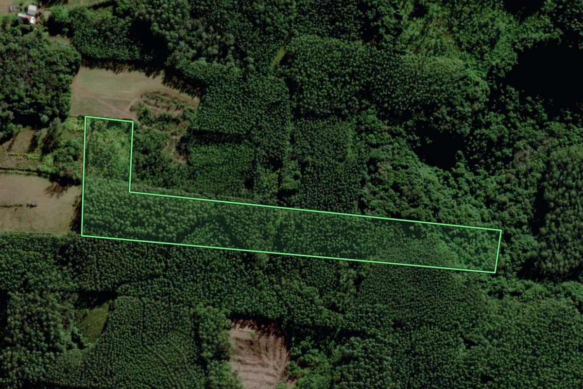 Imagem de satélite do imóvel rural em Brochier (RS), com o contorno declarado no CAR desenhado por cima.