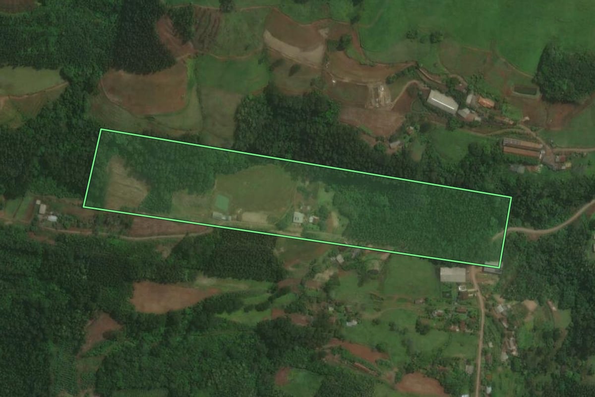 Imagem de satélite do imóvel rural em Brochier (RS), com o contorno declarado no CAR desenhado por cima.