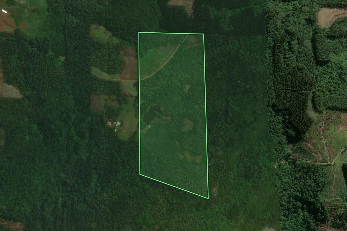 Imagem de satélite do imóvel rural em Brochier (RS), com o contorno declarado no CAR desenhado por cima.