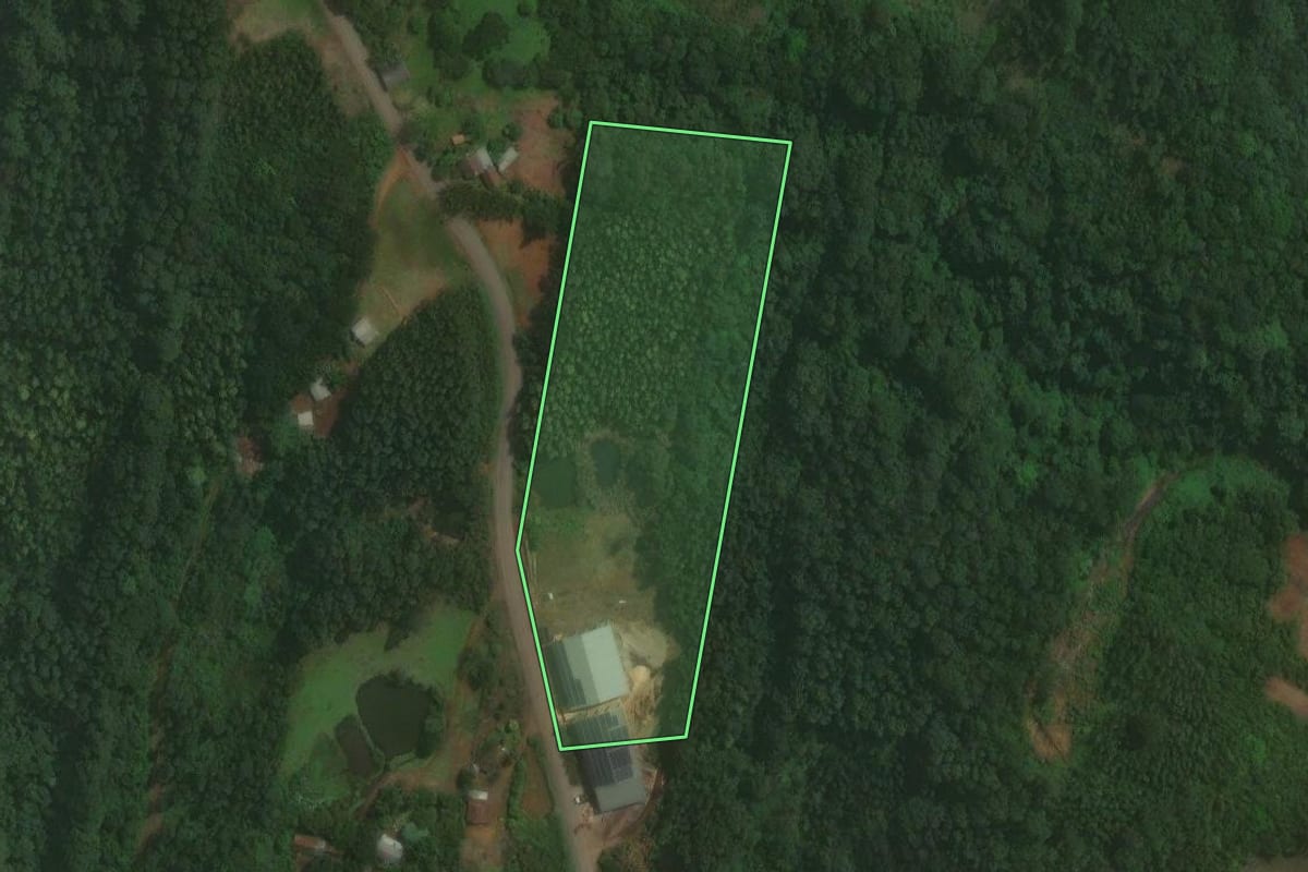 Imagem de satélite do imóvel rural em Brochier (RS), com o contorno declarado no CAR desenhado por cima.