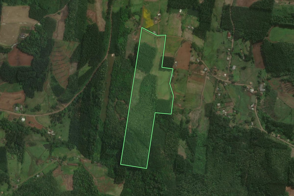 Imagem de satélite do imóvel rural em Brochier (RS), com o contorno declarado no CAR desenhado por cima.