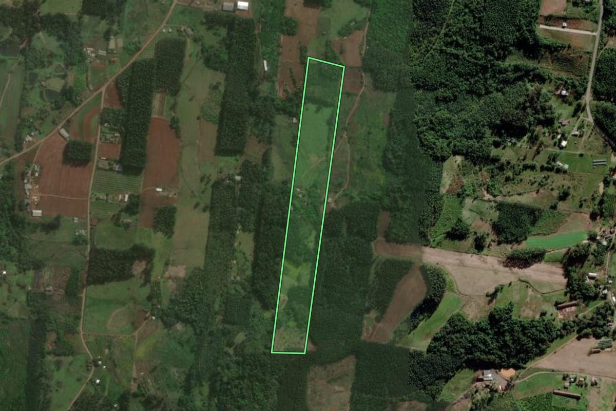 Imagem de satélite do imóvel rural em Brochier (RS), com o contorno declarado no CAR desenhado por cima.