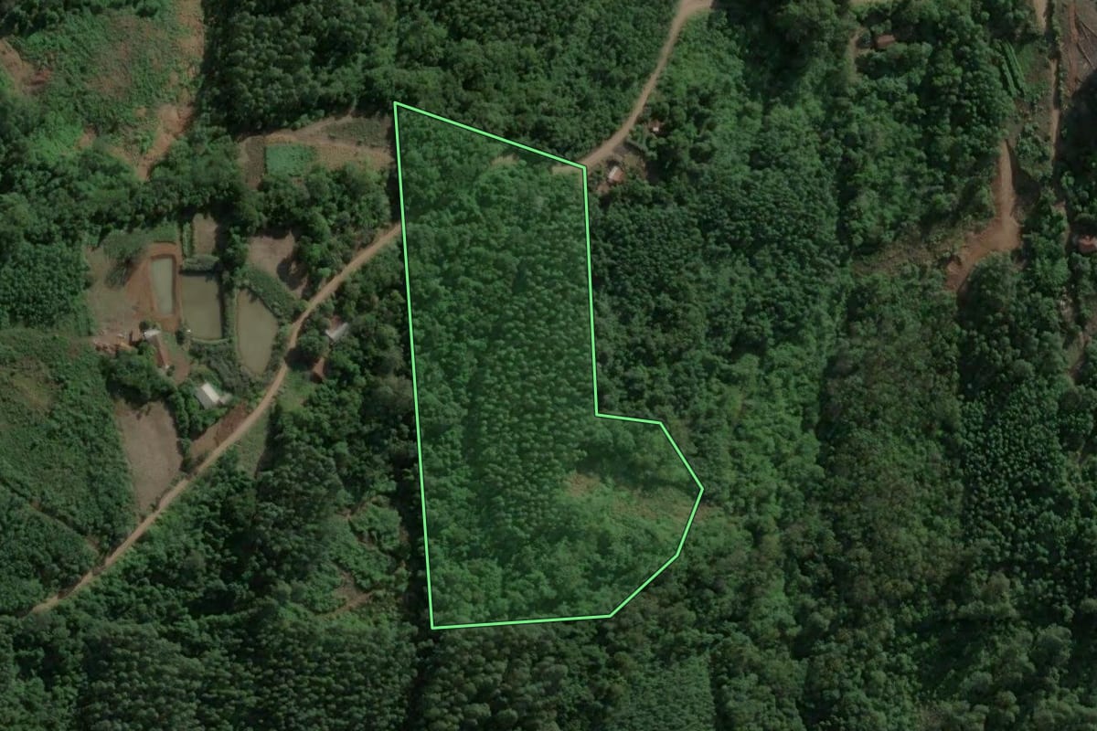 Imagem de satélite do imóvel rural em Brochier (RS), com o contorno declarado no CAR desenhado por cima.