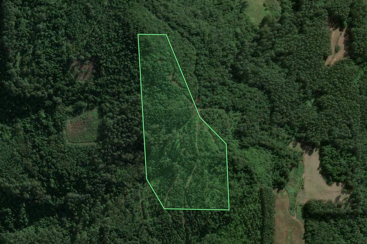 Imagem de satélite do imóvel rural em Brochier (RS), com o contorno declarado no CAR desenhado por cima.