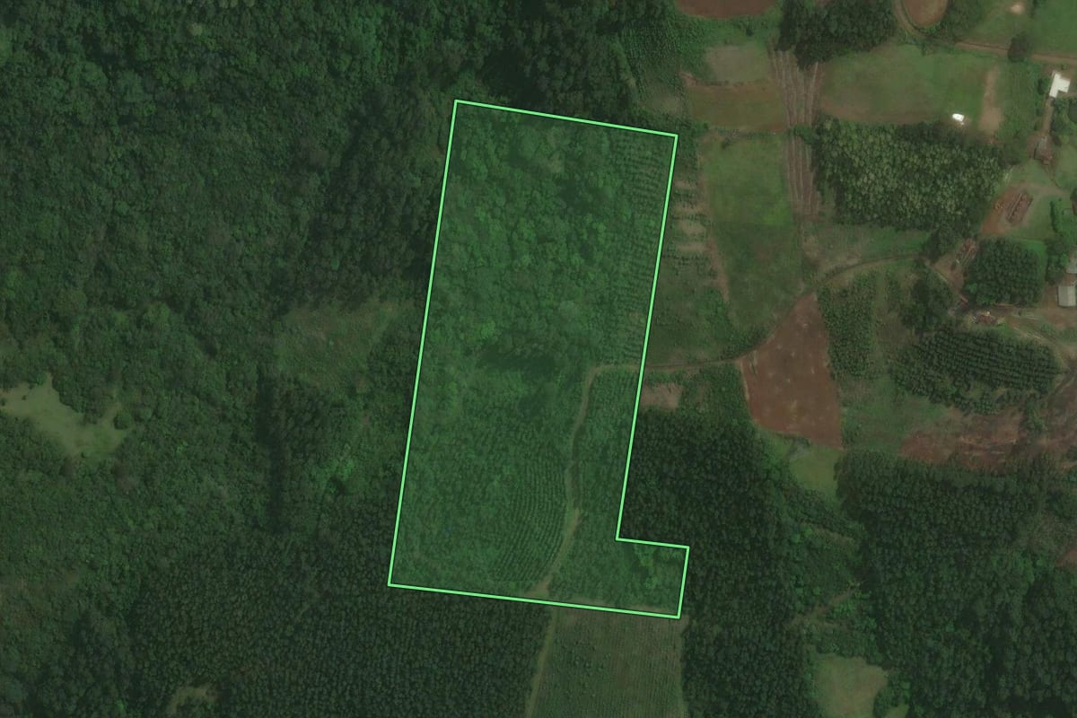 Imagem de satélite do imóvel rural em Brochier (RS), com o contorno declarado no CAR desenhado por cima.