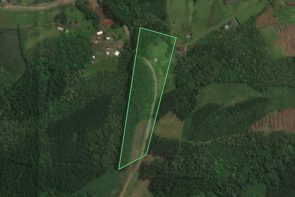 Imagem de satélite do imóvel rural em Brochier (RS), com o contorno declarado no CAR desenhado por cima.